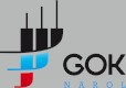 gokNarol logo mini